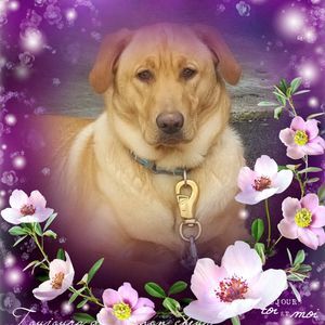 Meet your Posher, Louise